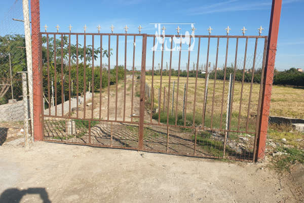 زمین درحریم شهر با مجوز گلخانه لیمو ترش ۳۰۰۰ متر-1