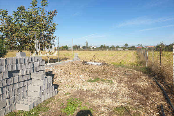 زمین درحریم شهر با مجوز گلخانه لیمو ترش ۳۰۰۰ متر-2