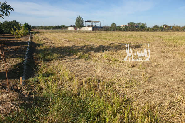 زمین درحریم شهر با مجوز گلخانه لیمو ترش ۳۰۰۰ متر-3