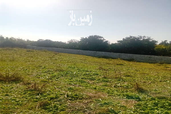 باغ ۳۰۰۰ متر جاده دریا روستای ساحلی قاجارخیلارخیل-2