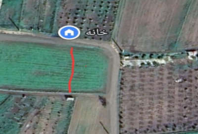 زمین کشاورزی ۷۰۰ متر روستای چلمردی