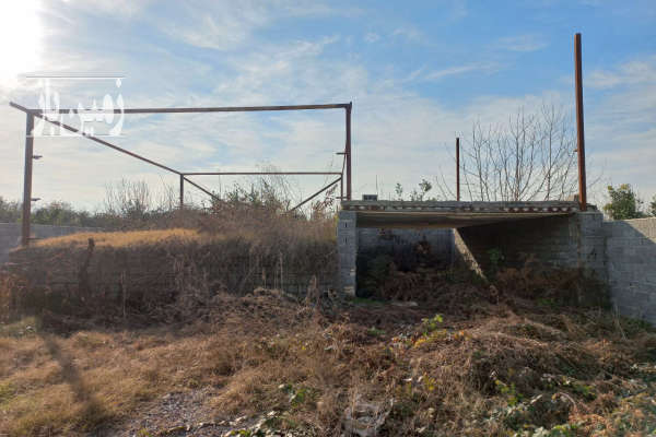 زمین ۲۱۵ متر قائمشهر جاده نظامی روستای کاوان اهنگر-2
