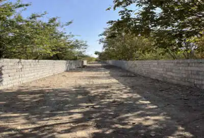 زمین در خدایار خان اول درختکاری شده ۲۰۰ متر