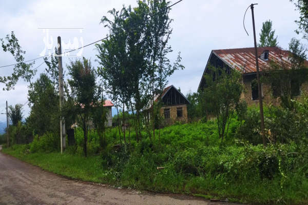 زمین مسکونی ۱۰۰۰ متری در گیلان سیاهکل-1