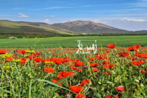 زمین ۱۰۰۰ متری مناسب کلبه غرق آباد روستای اردمین-1