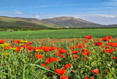 زمین ۱۰۰۰ متری مناسب کلبه غرق آباد روستای اردمین
