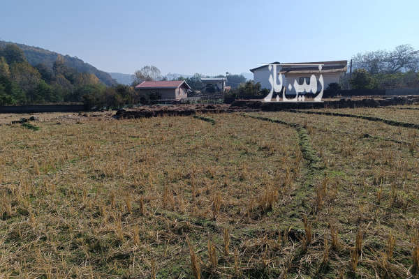 فروش زمین کشاورزی در روستای گرماپشته ۳۰۰ متر-2
