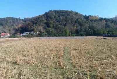 فروش زمین کشاورزی در روستای گرماپشته ۳۰۰ متر