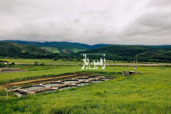 زمین ۲۰۰ متر کیلومتر ۲۵ محور گالیکش تنگراه-4