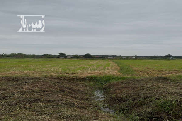 فروش زمین فوری روستای زیبا و اصیل لارسر ۲۸۵۰ متر-1