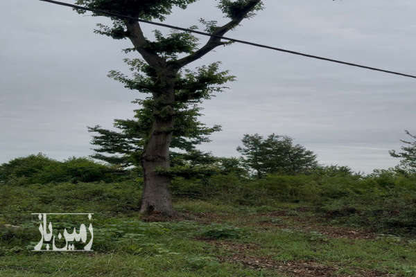 فروش زمین فوری روستای زیبا و اصیل لارسر ۲۸۵۰ متر-4