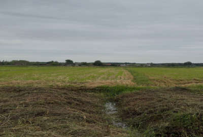 فروش زمین فوری روستای زیبا و اصیل لارسر ۲۸۵۰ متر