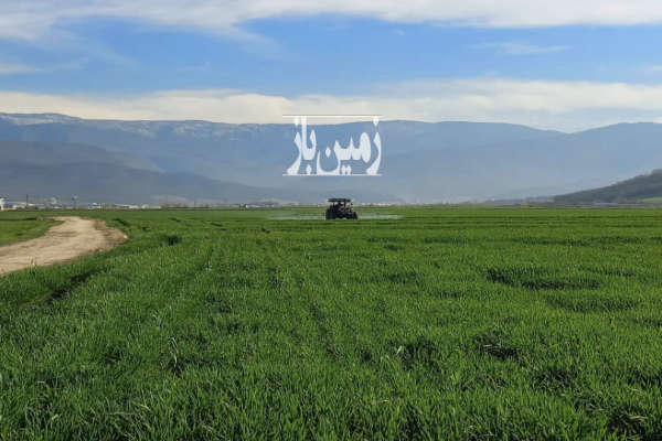 زمین هکتاری کشاورزی همراه با چاه آبدر رامیان-1