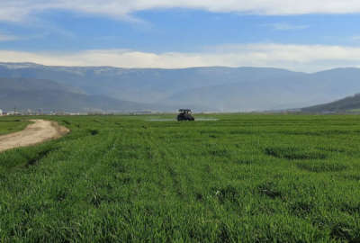 زمین هکتاری کشاورزی همراه با چاه آبدر رامیان