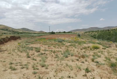 زمین ۶۰۰۰ متر منطقه غرق آباد روستای اردمین
