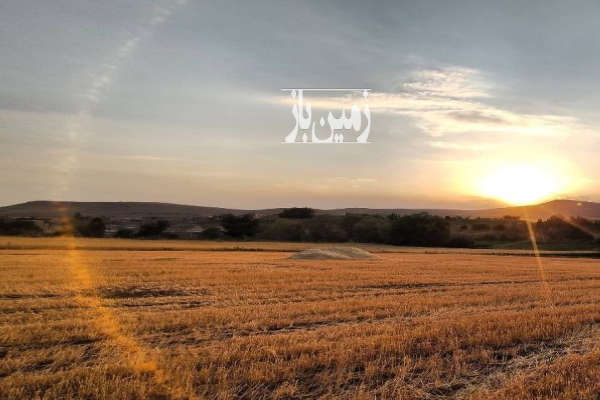 فروش زمین کشاورزی آبی قابل کشت ۱۰۰۰۰ متر-1