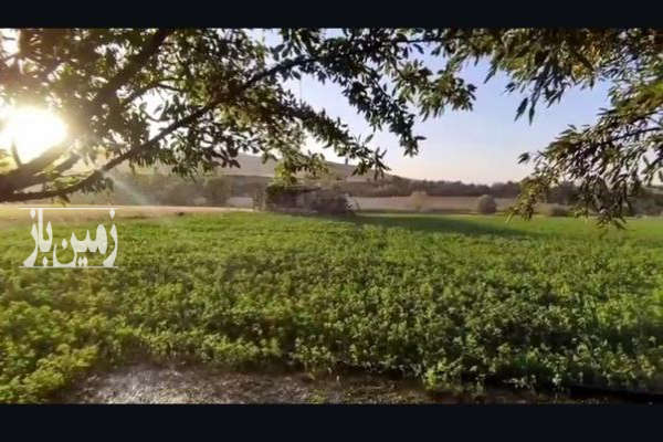 فروش زمین کشاورزی آبی قابل کشت ۱۰۰۰۰ متر-2