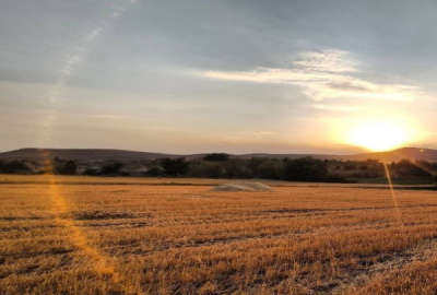 فروش زمین کشاورزی آبی قابل کشت ۱۰۰۰۰ متر