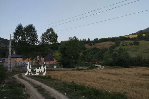 زمین ییلاقی در هزار جریب نکا روستای سفیدکوه ۴۰۰ متر-1