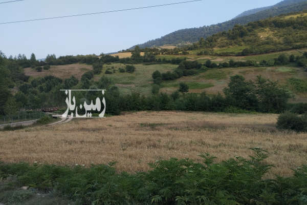 زمین ییلاقی در هزار جریب نکا روستای سفیدکوه ۴۰۰ متر-2