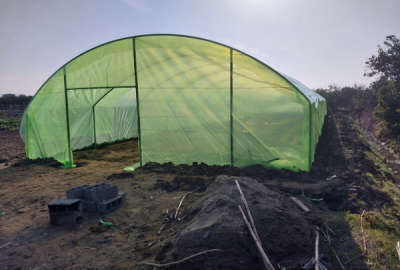 فروش زمین کشاورزی همراه گلخانه ۹۰۰ متر