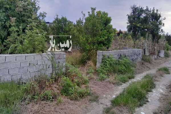 فروش باغ ۲۱۵متری جاده قائمشهر روستایی نقیب کلا-1