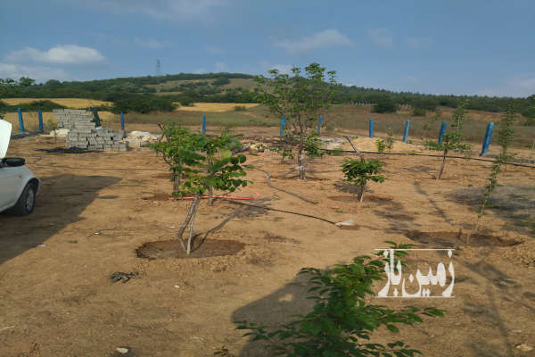 زمین ییلاقی در کیاسر چشم انداز عالی ویو خوب ۲۸۰ متر-1