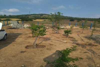 زمین ییلاقی در کیاسر چشم انداز عالی ویو خوب ۲۸۰ متر