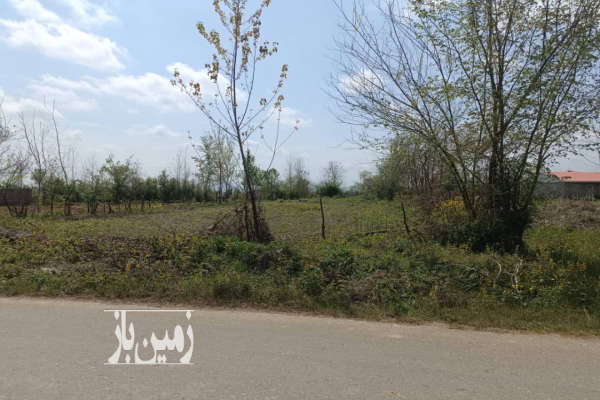 زمین باغی ۱۶۶۳ متر روستای خراط محله-2