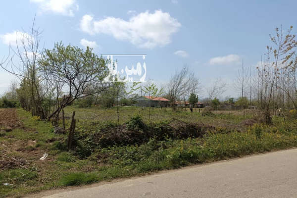 زمین باغی ۱۶۶۳ متر روستای خراط محله-3