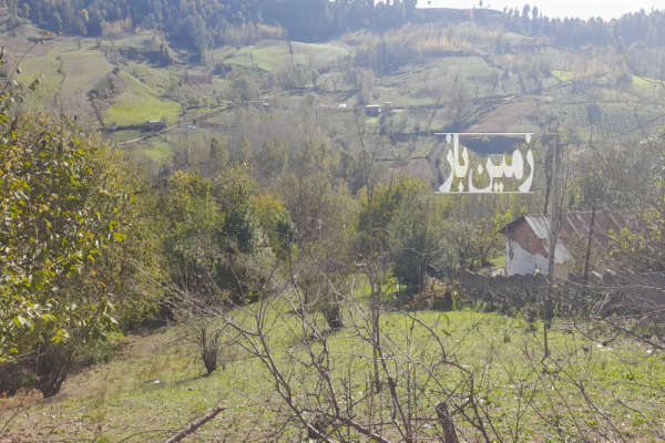 زمین ۱۰۰۰ متر در روستای چورت جاده کیاسر-1