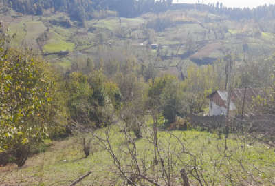 زمین ۱۰۰۰ متر در روستای چورت جاده کیاسر