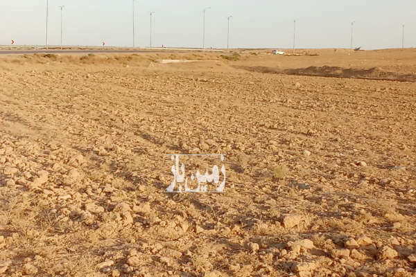 زمین کشاورزی یک هکتار قوچان بلوار ذاکری به سمت هفت تپه-1