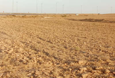 زمین کشاورزی یک هکتار قوچان بلوار ذاکری به سمت هفت تپه