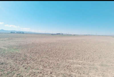 زمین کشاورزی ابتدای جاده پوینک به خورین ۳۱۰۰ متر