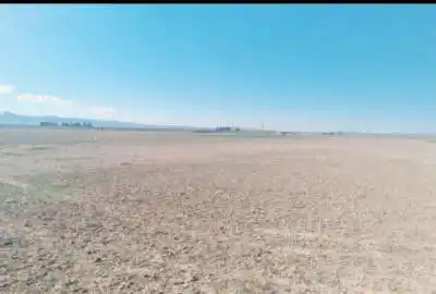 زمین کشاورزی ابتدای جاده پوینک به خورین ۳۱۰۰ متر