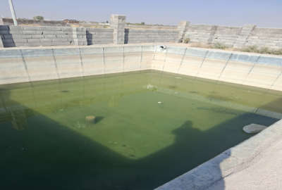 فروش باغ بادرختان بارده مامونیه چاه کدخدا ۲۵۰۰ متر