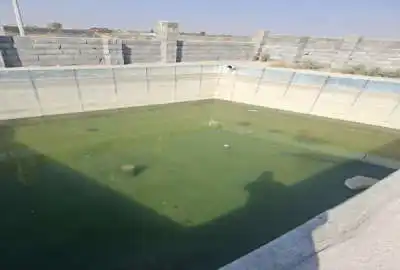 فروش باغ بادرختان بارده مامونیه چاه کدخدا ۲۵۰۰ متر