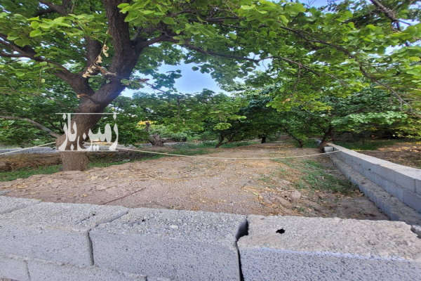 فروش زمین باغی ۶۰۰ متری در شهریار بکه-2