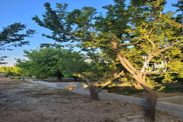 فروش زمین باغی ۶۰۰ متری در شهریار بکه-3