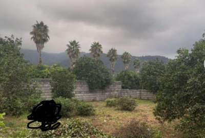 زمین بافت مسکونی و سند دار ۲۵۰ متر