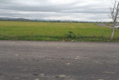 فروش زمین مسکونی احمدسرگوراب ۲۵۰ متر