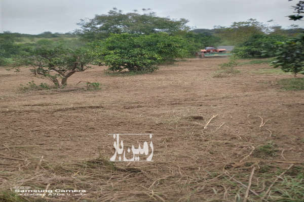 فروش زمین باغی در جاده نظامی روستای میکلا ۵۰۰ متر-1