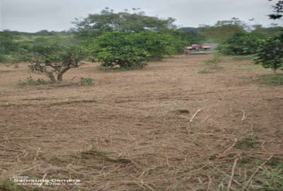 فروش زمین باغی در جاده نظامی روستای میکلا ۵۰۰ متر