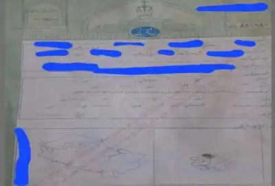 زمین در گلبهار خراسان رضوی ۲۵۰ متر