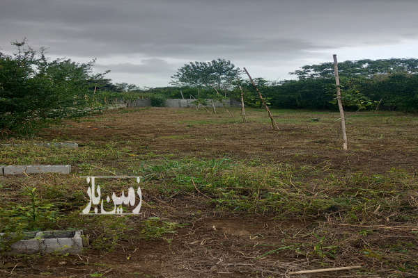 باغ کیاکلا بخش تالارپی روستای صلحدارکلا ۵۴۳ متر-1