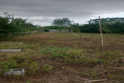 باغ کیاکلا بخش تالارپی روستای صلحدارکلا ۵۴۳ متر