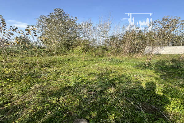 زمین فروشی جاده شفت روستای مجیدیزدان پرست ۶۲۹ متر-2