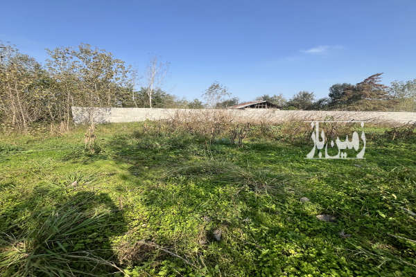 زمین فروشی جاده شفت روستای مجیدیزدان پرست ۶۲۹ متر-4