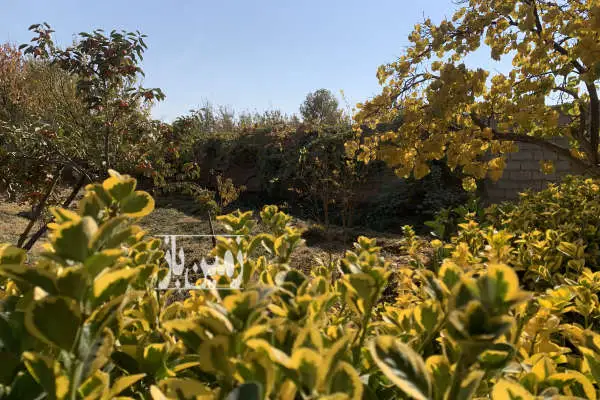 فروش زمین به مساحت ۱۵۰۹ متر - تصویر 1